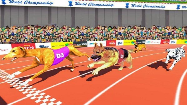 Dog Race Sim 2020: Dog Racing Games Online