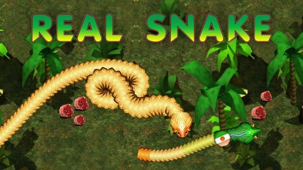 Real Snakes: Slither & Grow Game