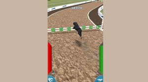 Dog Racing Simulator Online Game