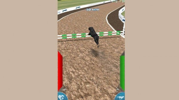 Dog Racing Simulator Online Game