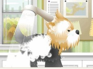 Pet Grooming Studio Adventure