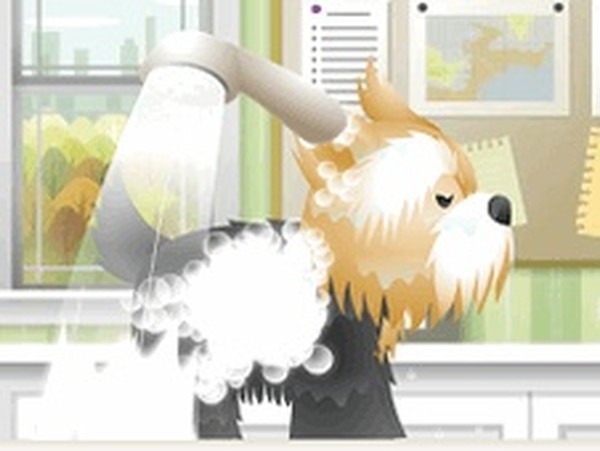 Pet Grooming Studio Adventure