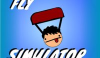 Fly Simulator Arcade Game