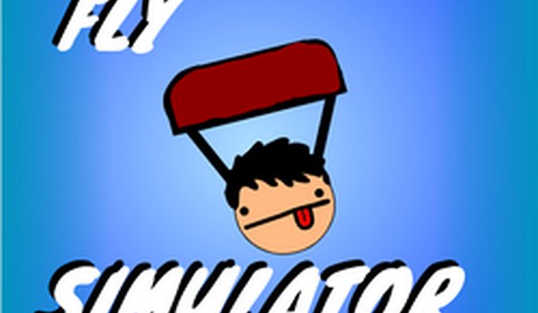 Fly Simulator Online Game